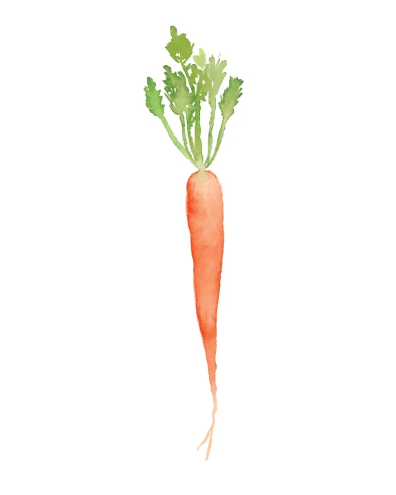 Carrot.jpg