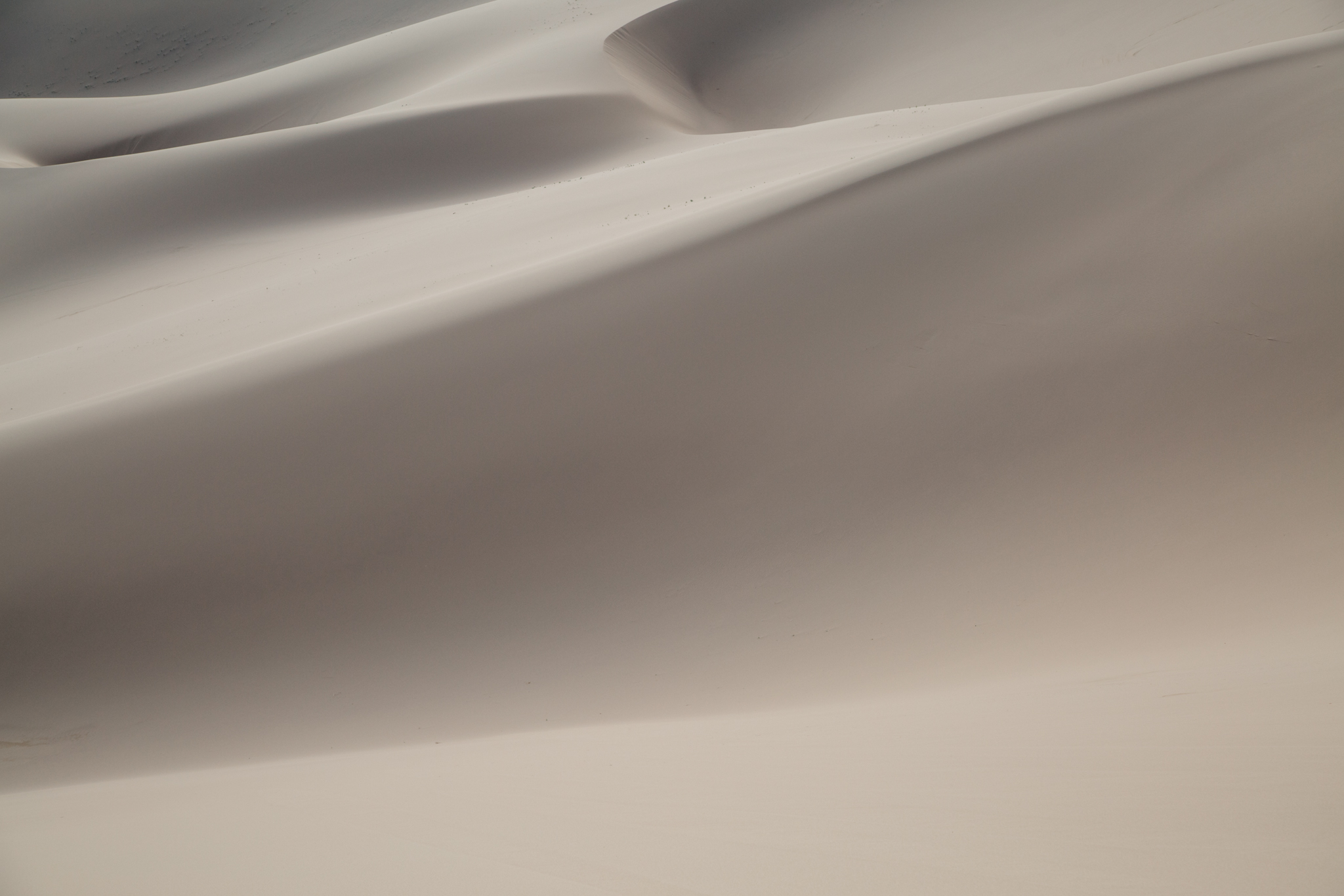 ellamackphotos_website_landscapes_mongolia_dunes-3.jpg
