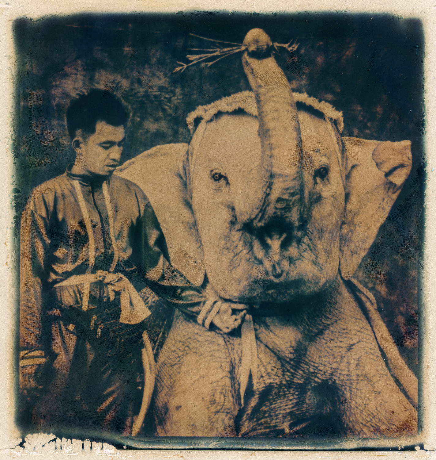 Ayu-Heritage-001.jpg