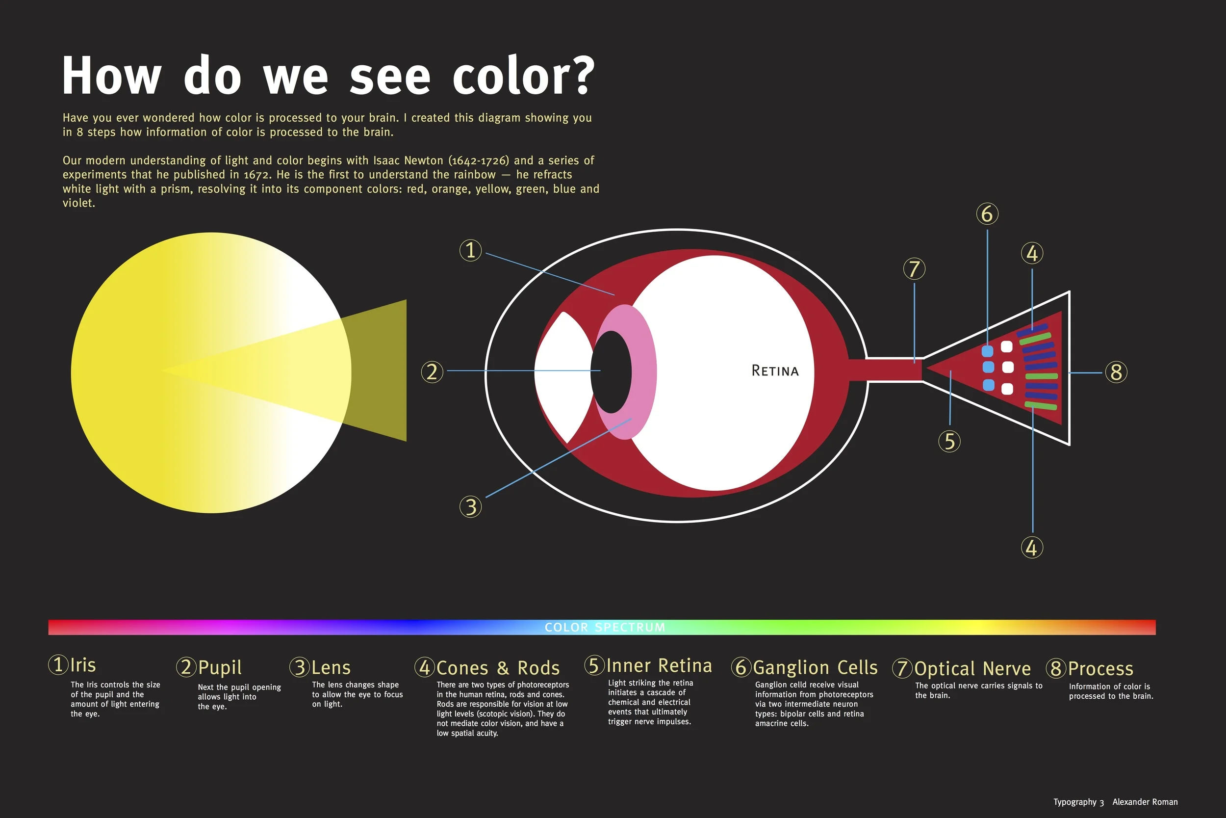 Infographic Diagram