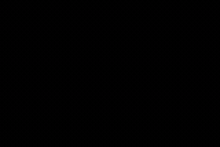 // TRUMPS WAR ON ASYLUM IMMIGRATION FOOTAGE MORTISE