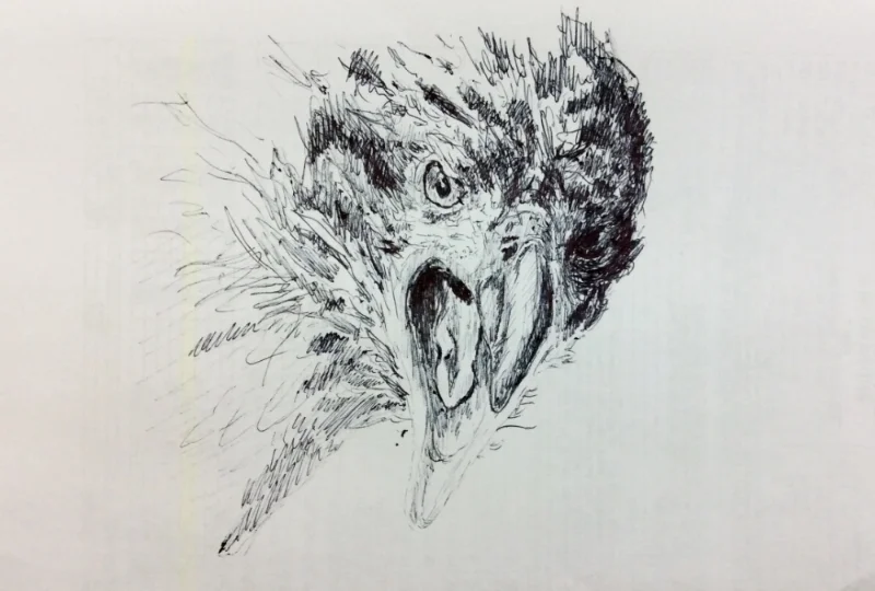 "Endeavour the Eagle" (2015)