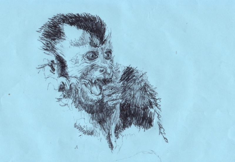 "Maximus" (2010)
