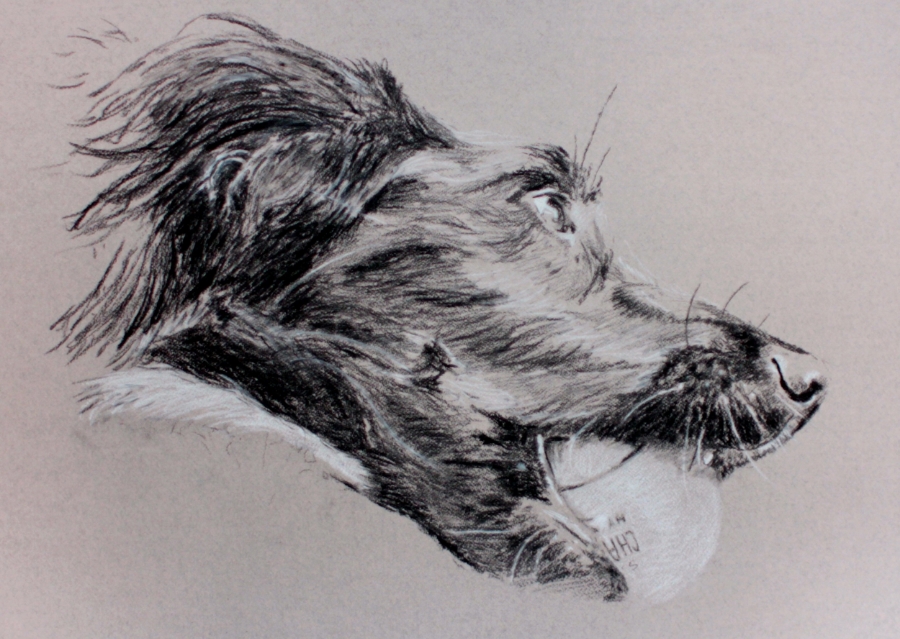 "Jaz" (2015)