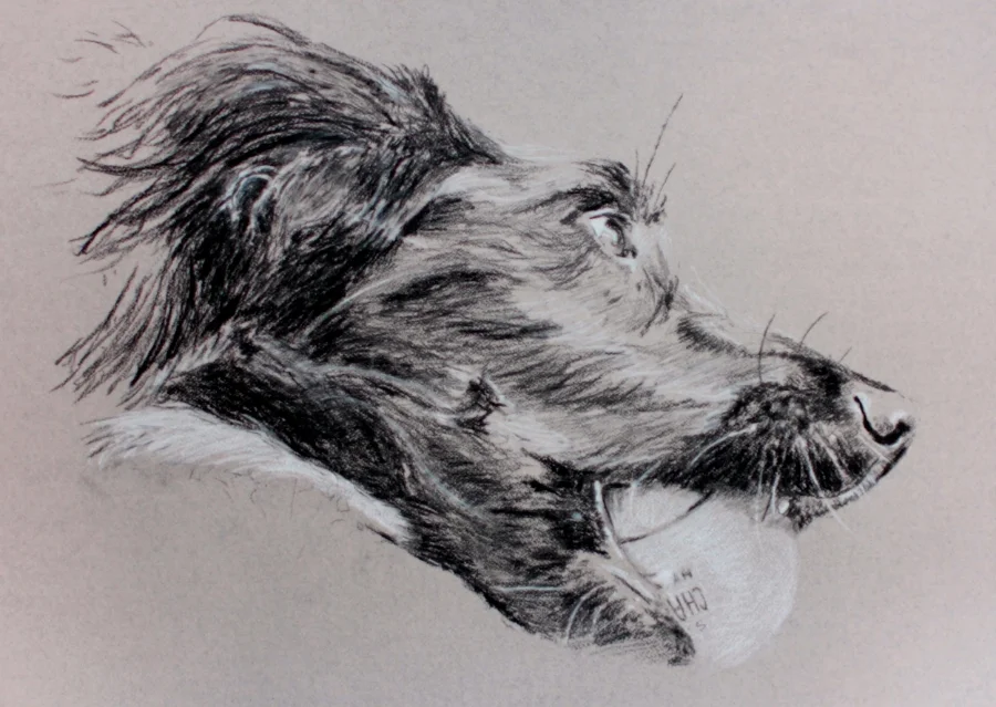 "Jaz" (2015)