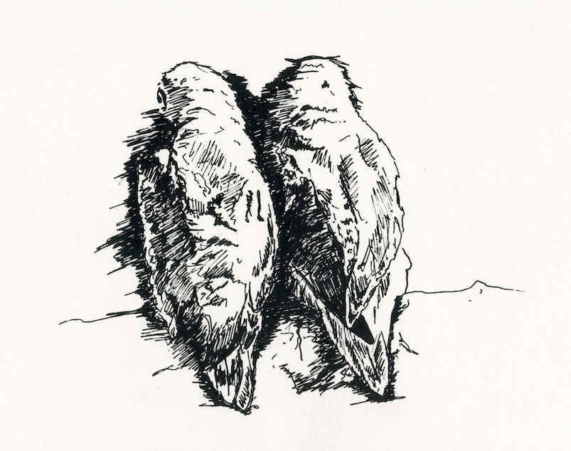 "Lovebirds" (2015)