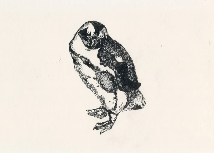 "Penguin revisited" (2015)