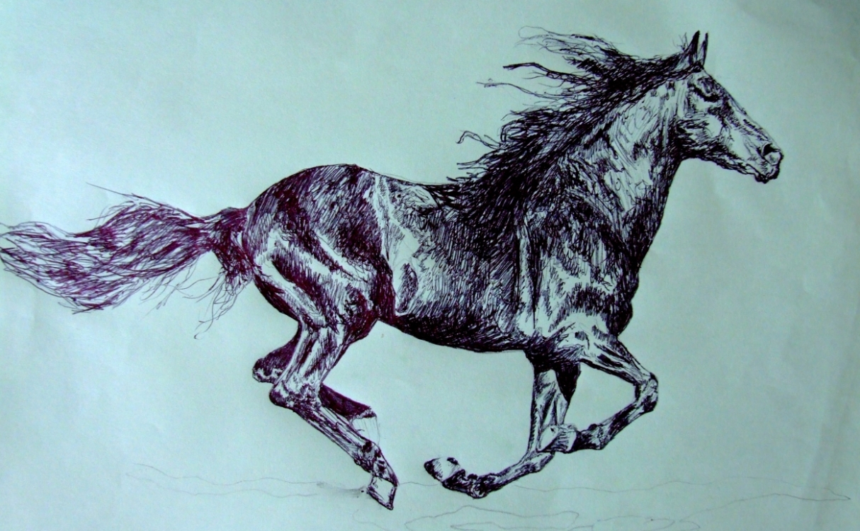 "Horse #2" (2009)