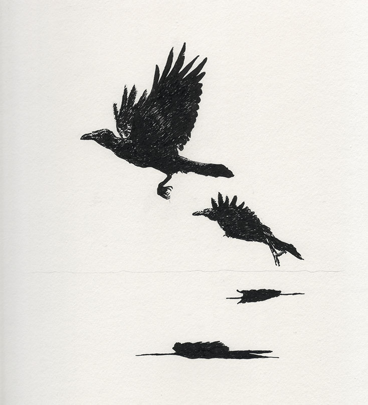"Shadows" (2015)