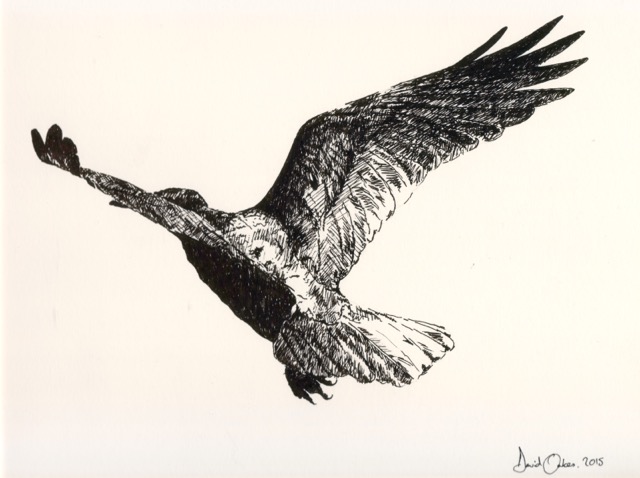 "Onwards..." (2015)