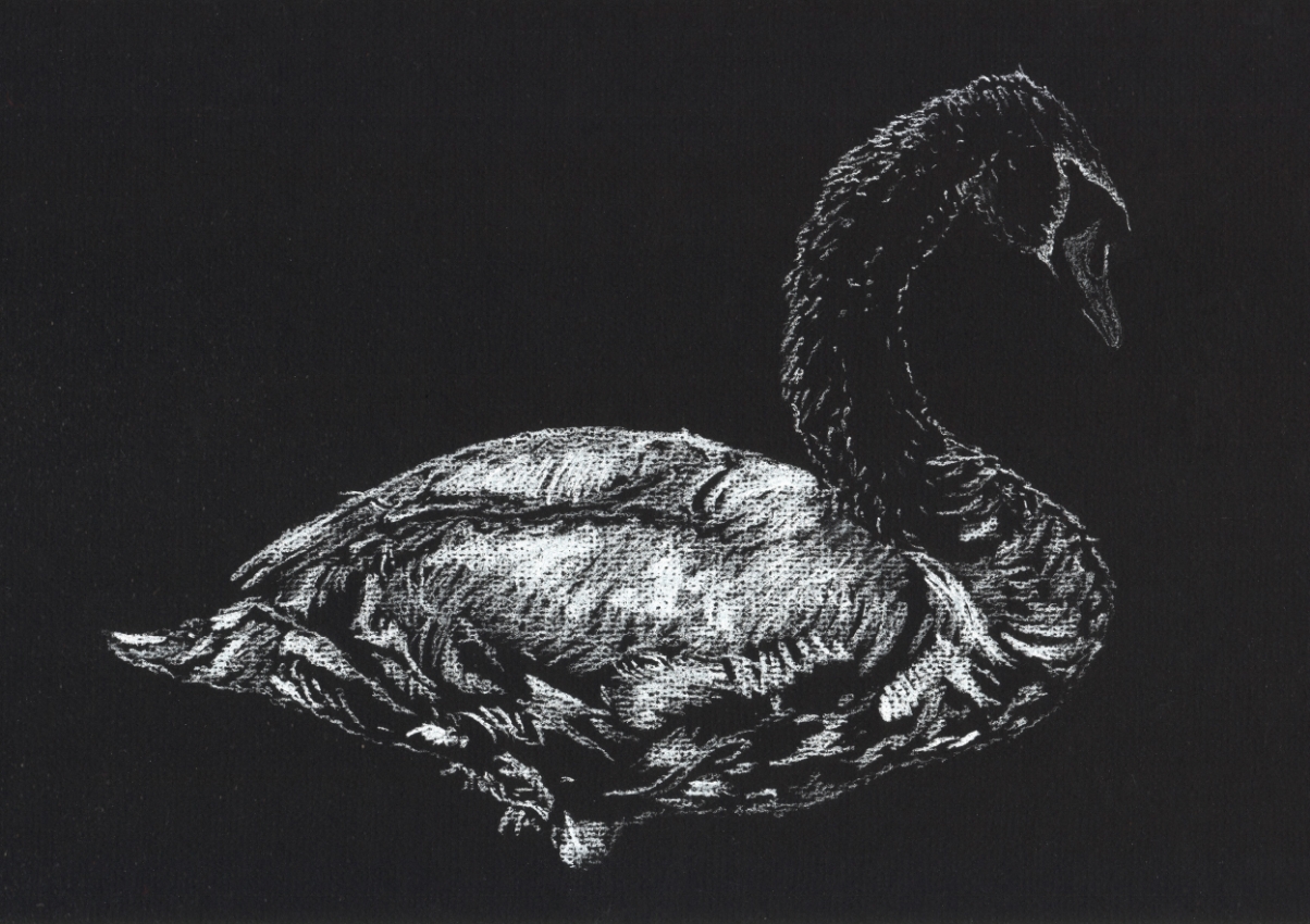 "Mute Swan" (2015)