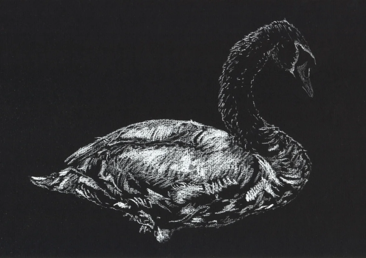 "Mute Swan" (2015)