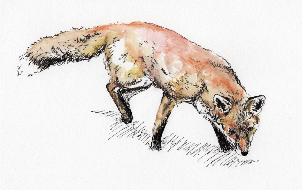"Big Fox" (2016)