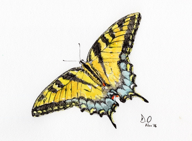 "Swallowtail" (2016)