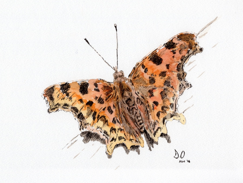"Comma" (2016)