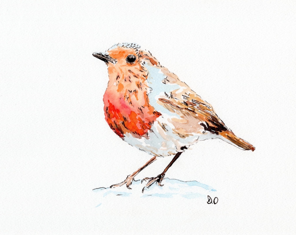 Robin (2017)