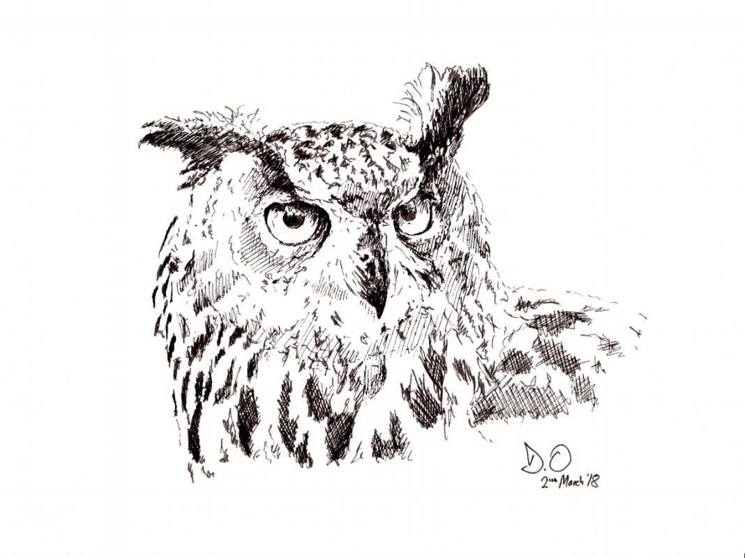 "Eagle Owl" (2018)