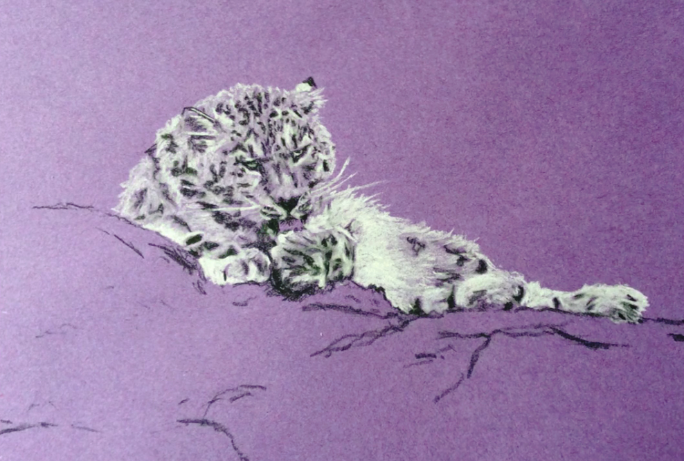 "Snow Leo-PUD" (2015)