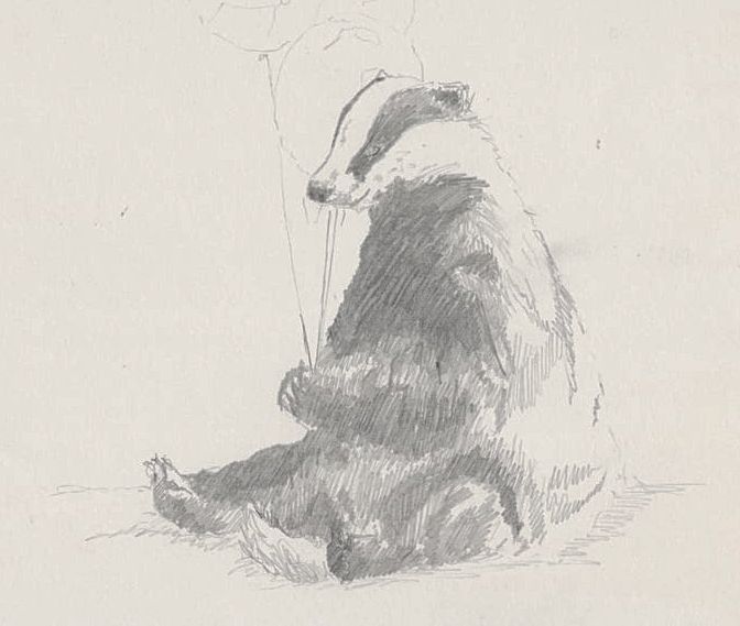 Timelapse of "Merry Meles" (2015)