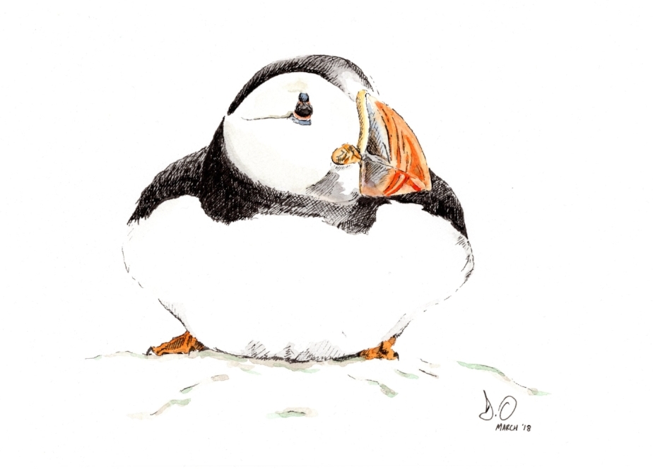 "McGregor's Puffin" (2018)