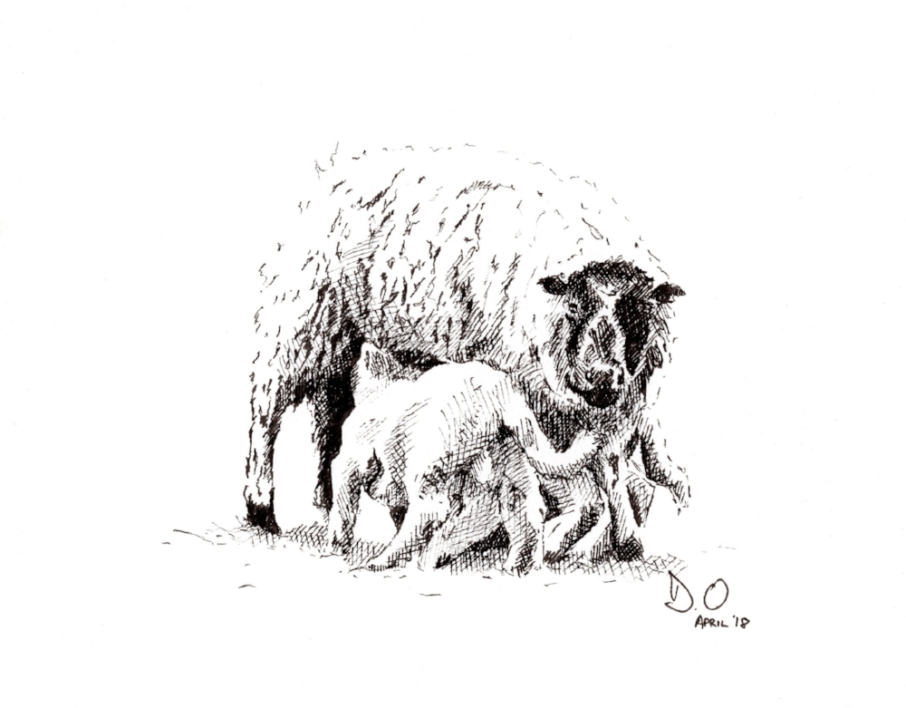 "Ewe" (2018)