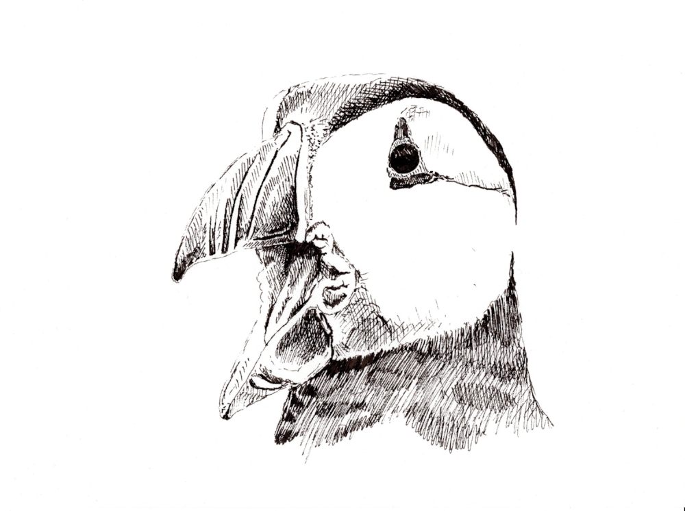 "Screech" (2018)