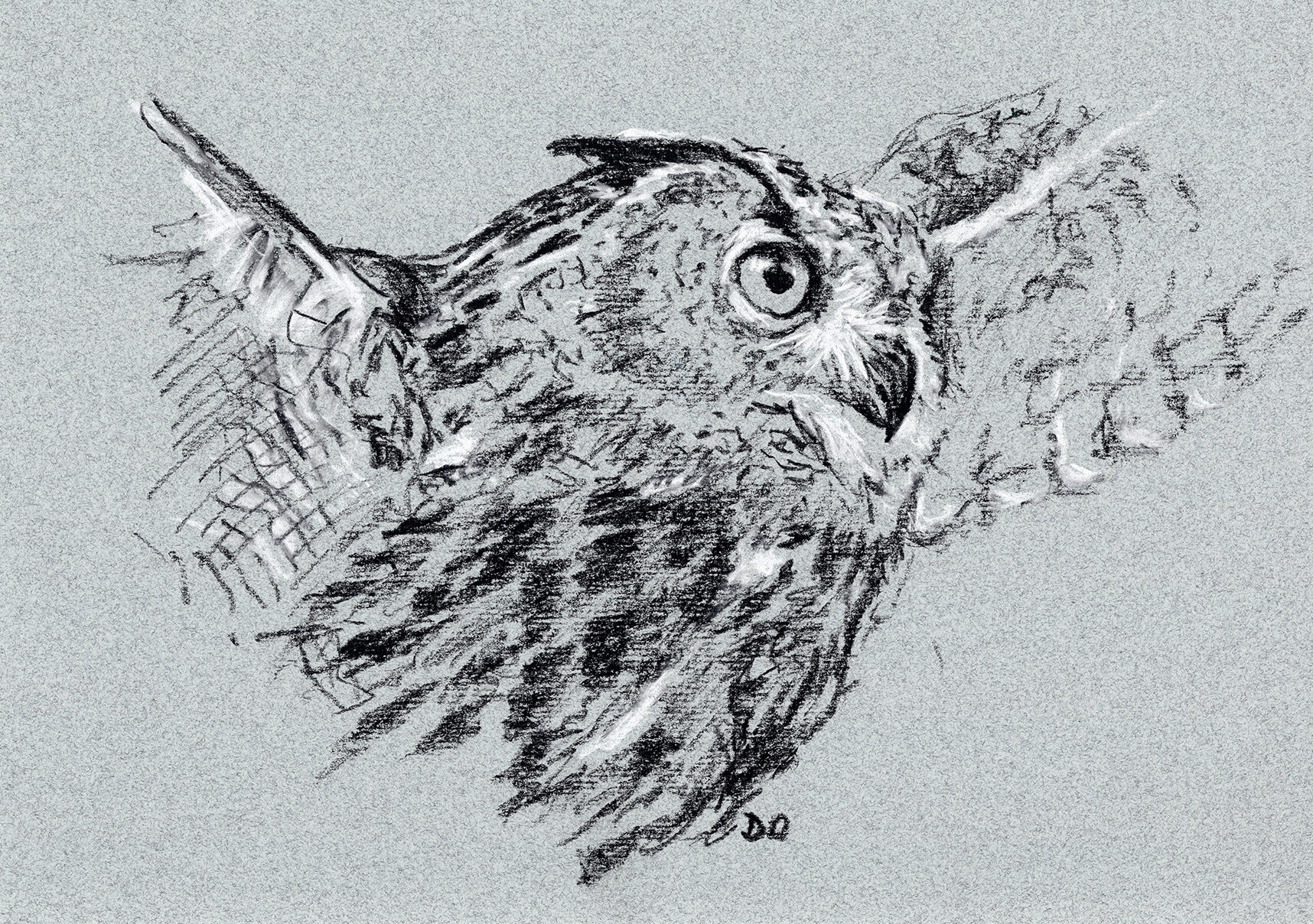 "Eagle Owl" (2019)
