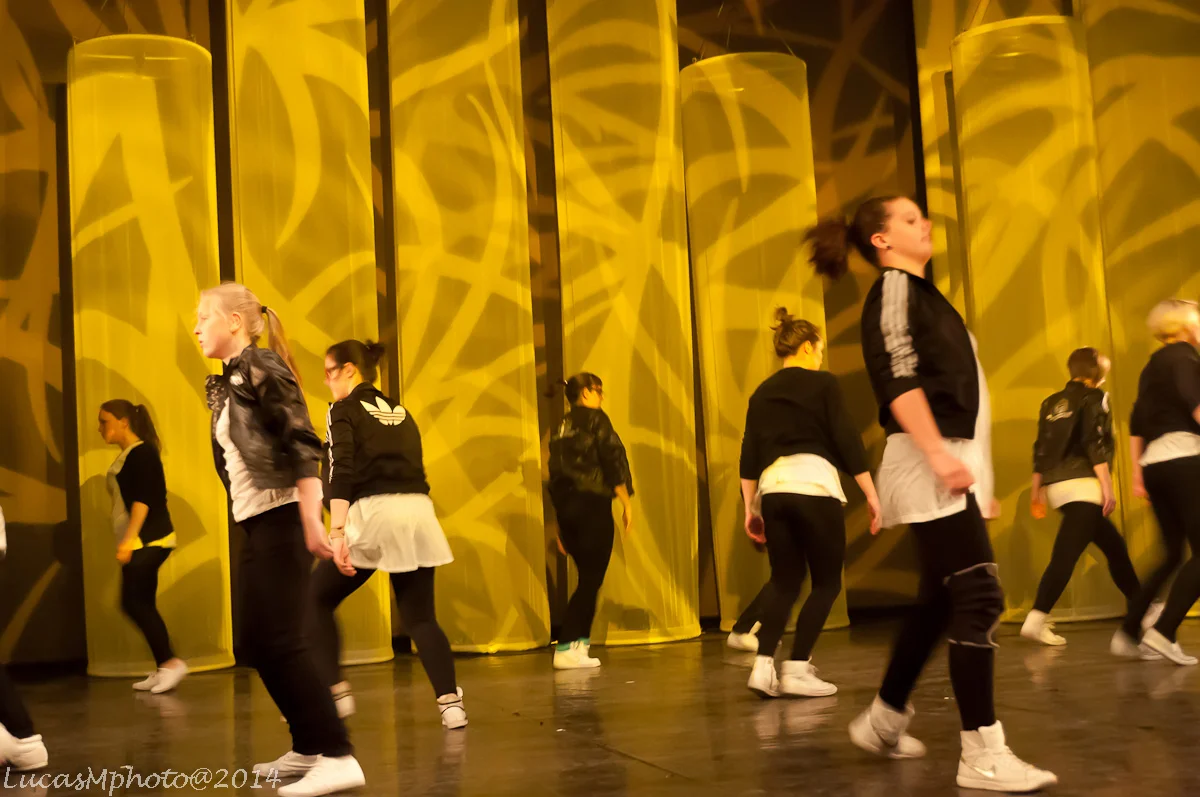 ellen_dance_watermerk-41-van-165_18033887542_o.jpg