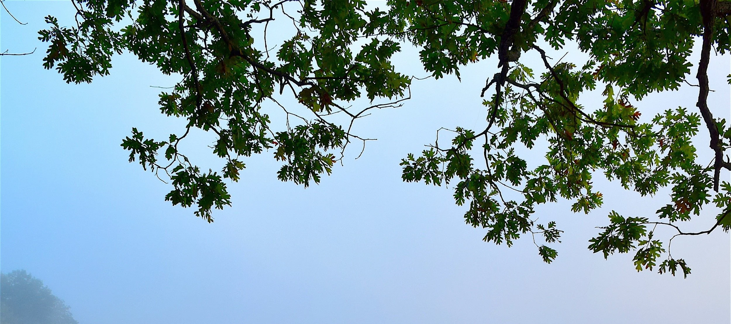 bones64-lake-2833680 Ausschnitt.jpg