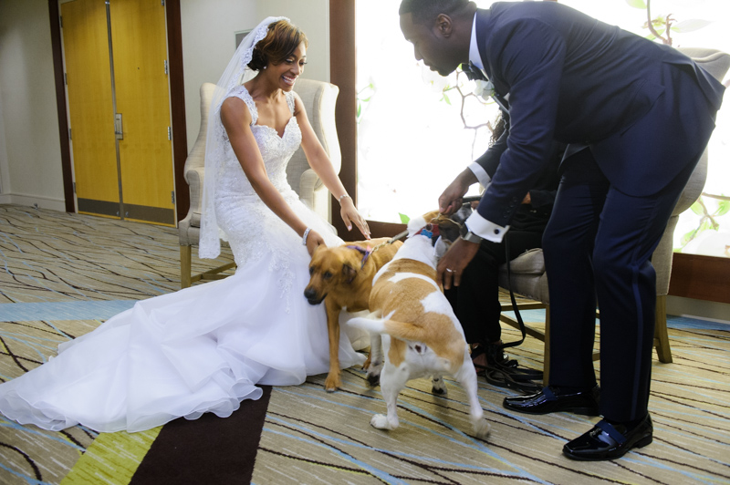 Going to the Dawgz-4.jpg