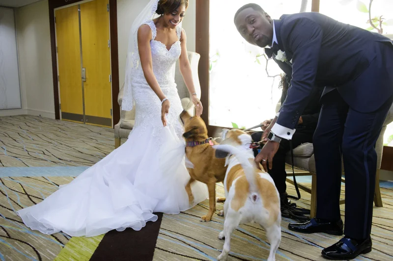 Going to the Dawgz-6.jpg