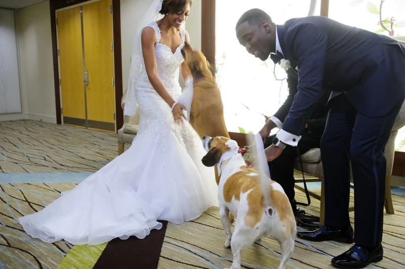 Going to the Dawgz-7.jpg