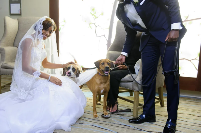 Going to the Dawgz-12.jpg