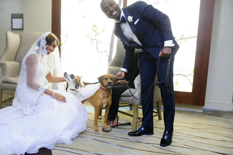 Going to the Dawgz-13.jpg