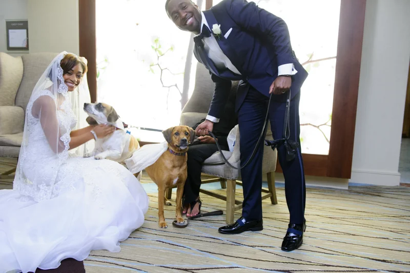 Going to the Dawgz-14.jpg