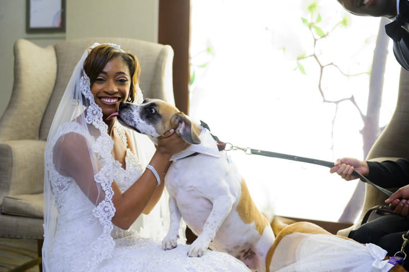 Going to the Dawgz-23.jpg