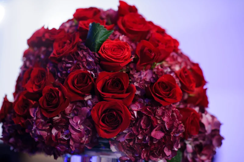Reception-491.jpg