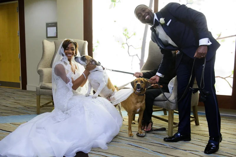 Going to the Dawgz-18.jpg