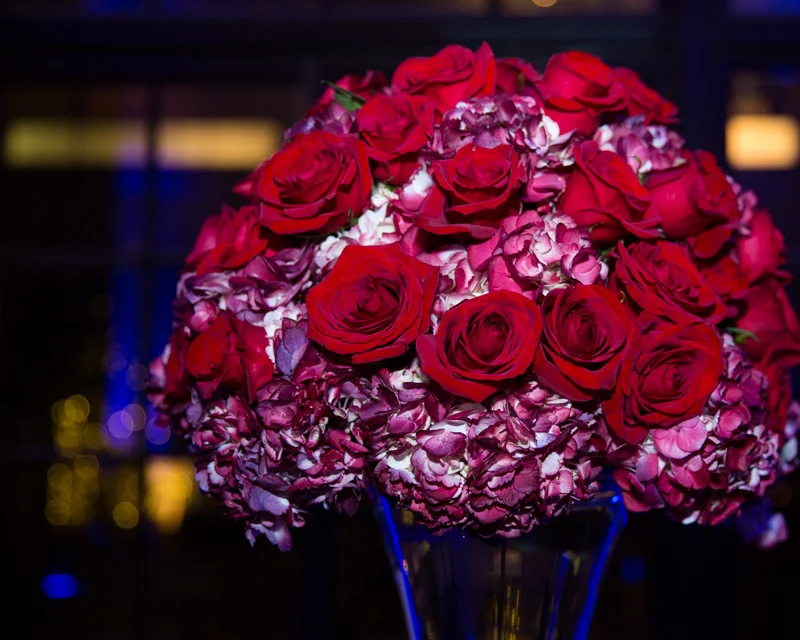 Reception-537.jpg