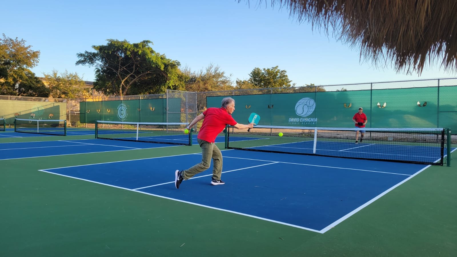 David Ensignia Tennis Academy PICKLEBALL — David Ensignia Tennis Academy