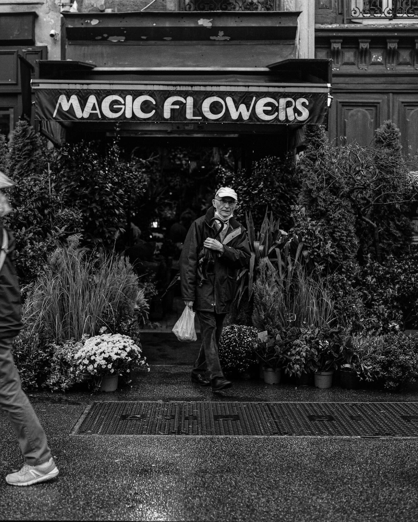 fleurs magiques 💐

Parisian scenery captured with the #hasselblad500cm