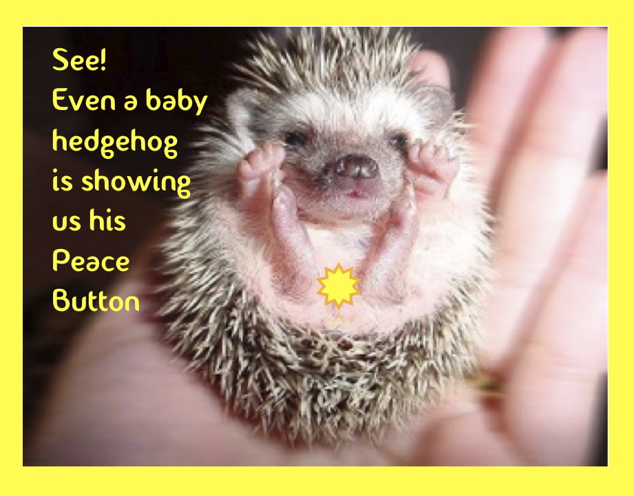 Hedgehogs have Peace Button's too...