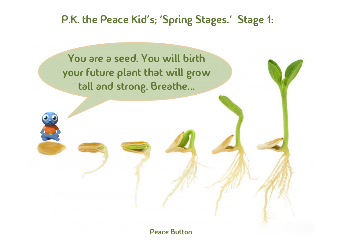 PK's Spring Stages - 1
