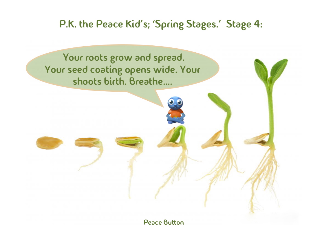   PK's Spring Stages - 4