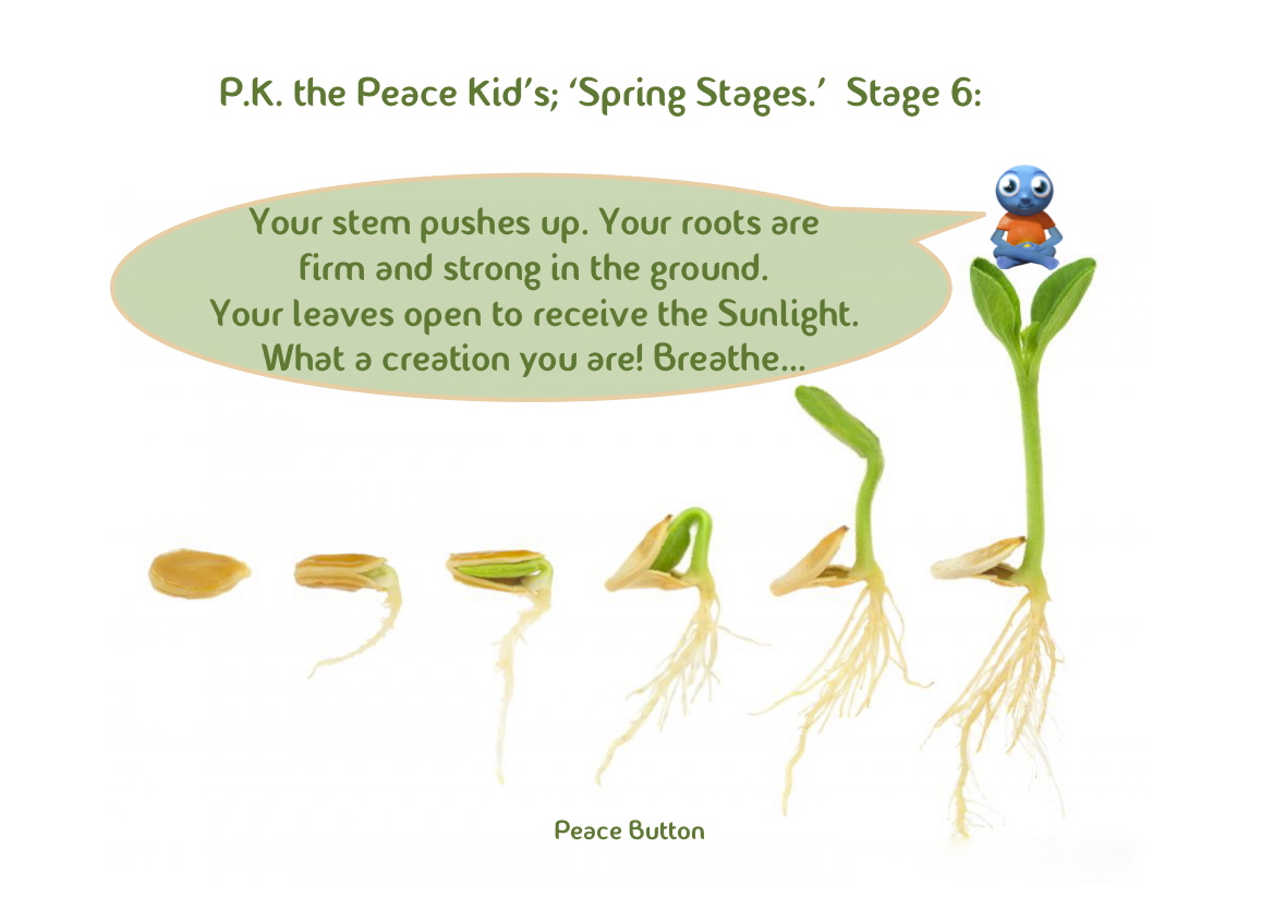 PK's Spring Stages - 6