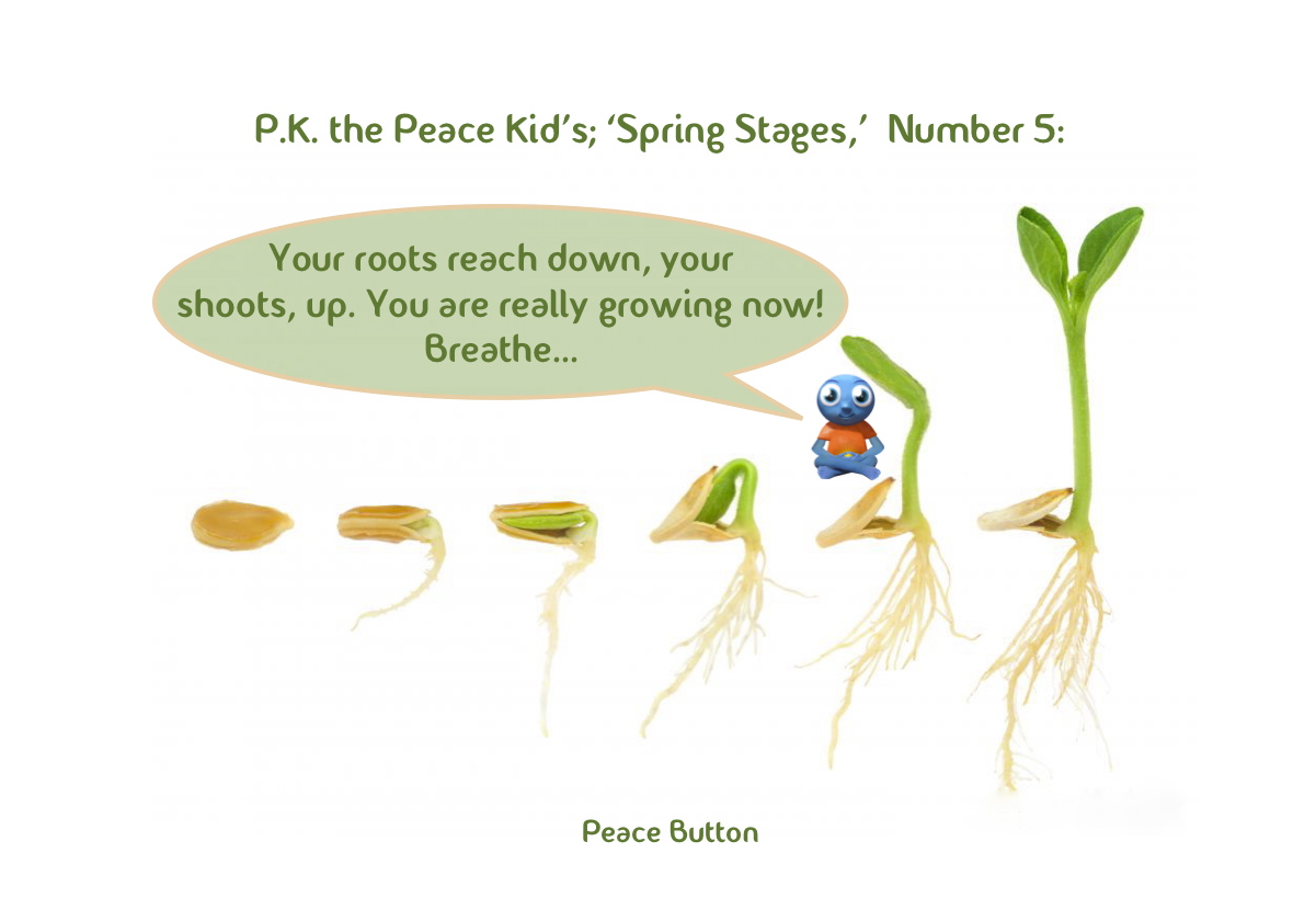 PK's Spring Stages - 5