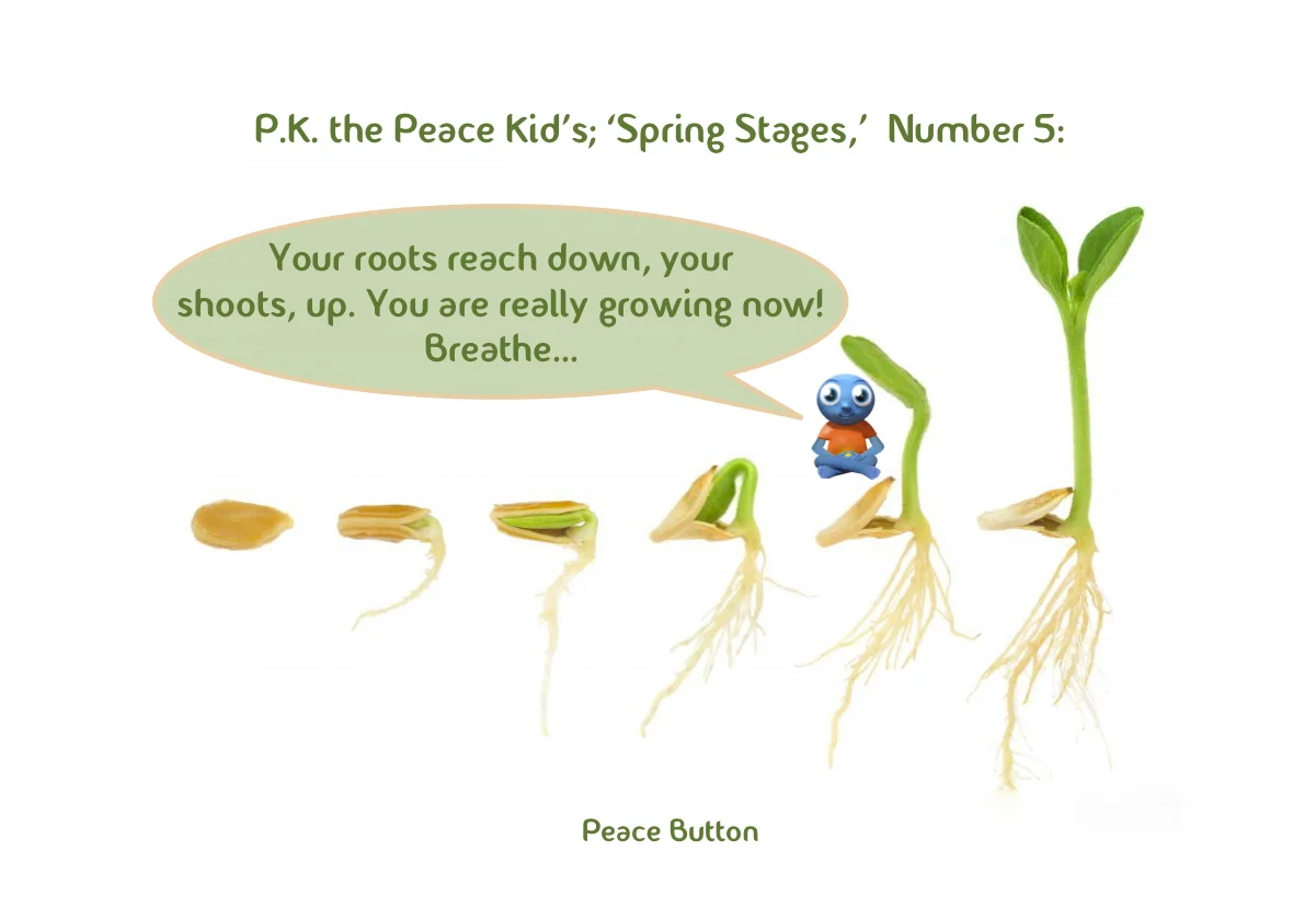 PK's Spring Stages - 5