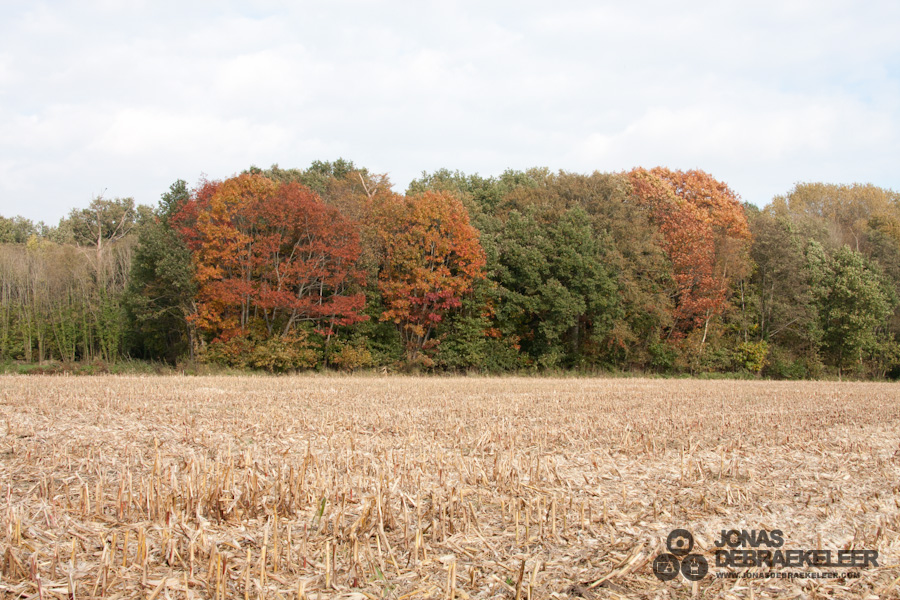 2011 okt 29 - 13u 14min 50s.jpg