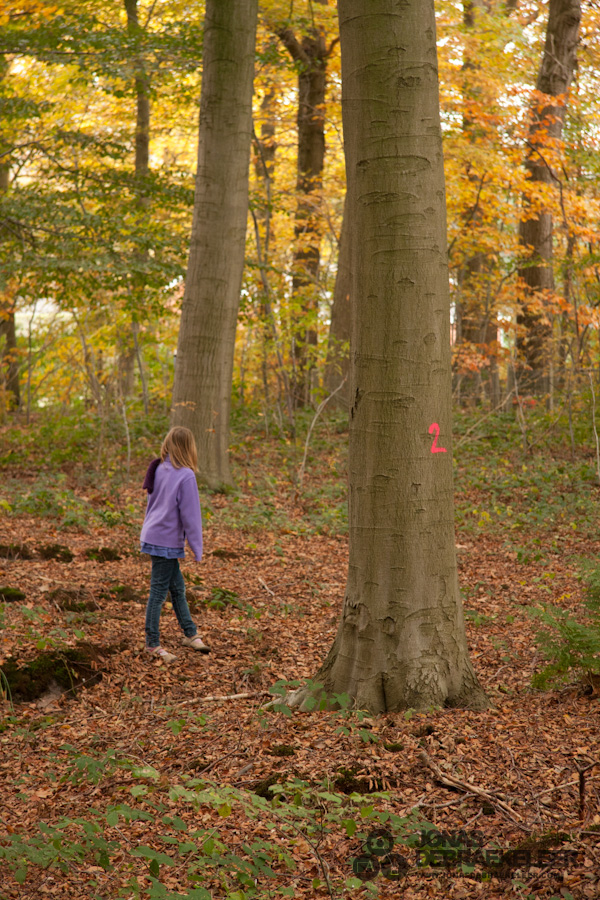 2011 okt 29 - 13u 37min 23s.jpg