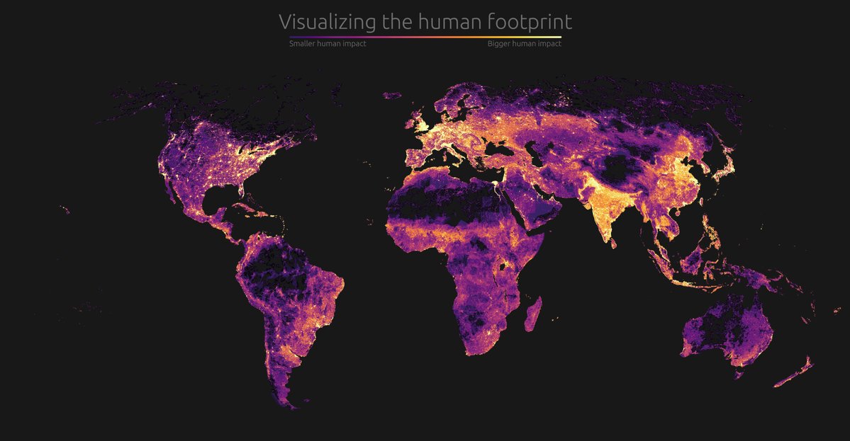 Footprint.jpg